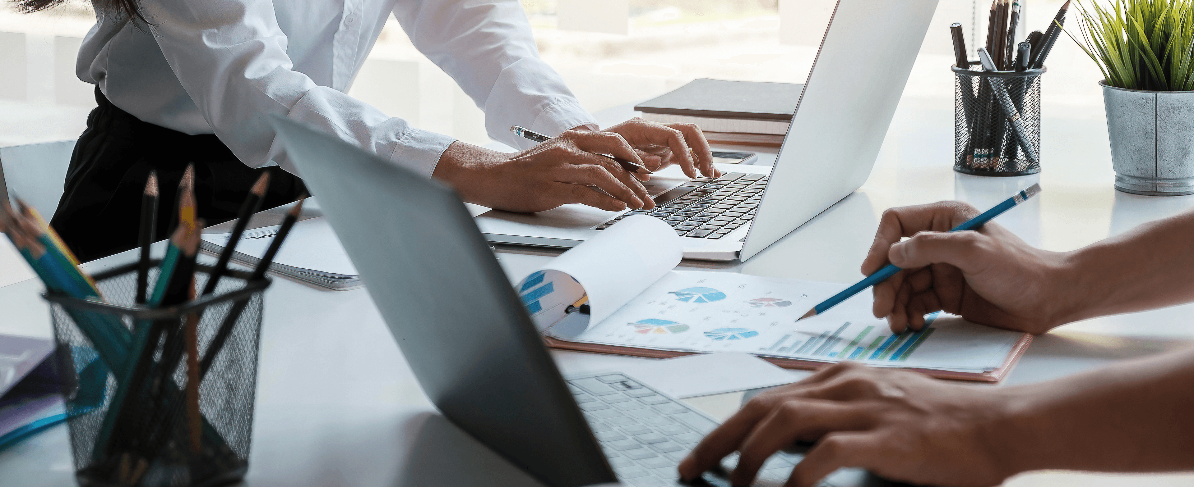 메인 배경 이미지