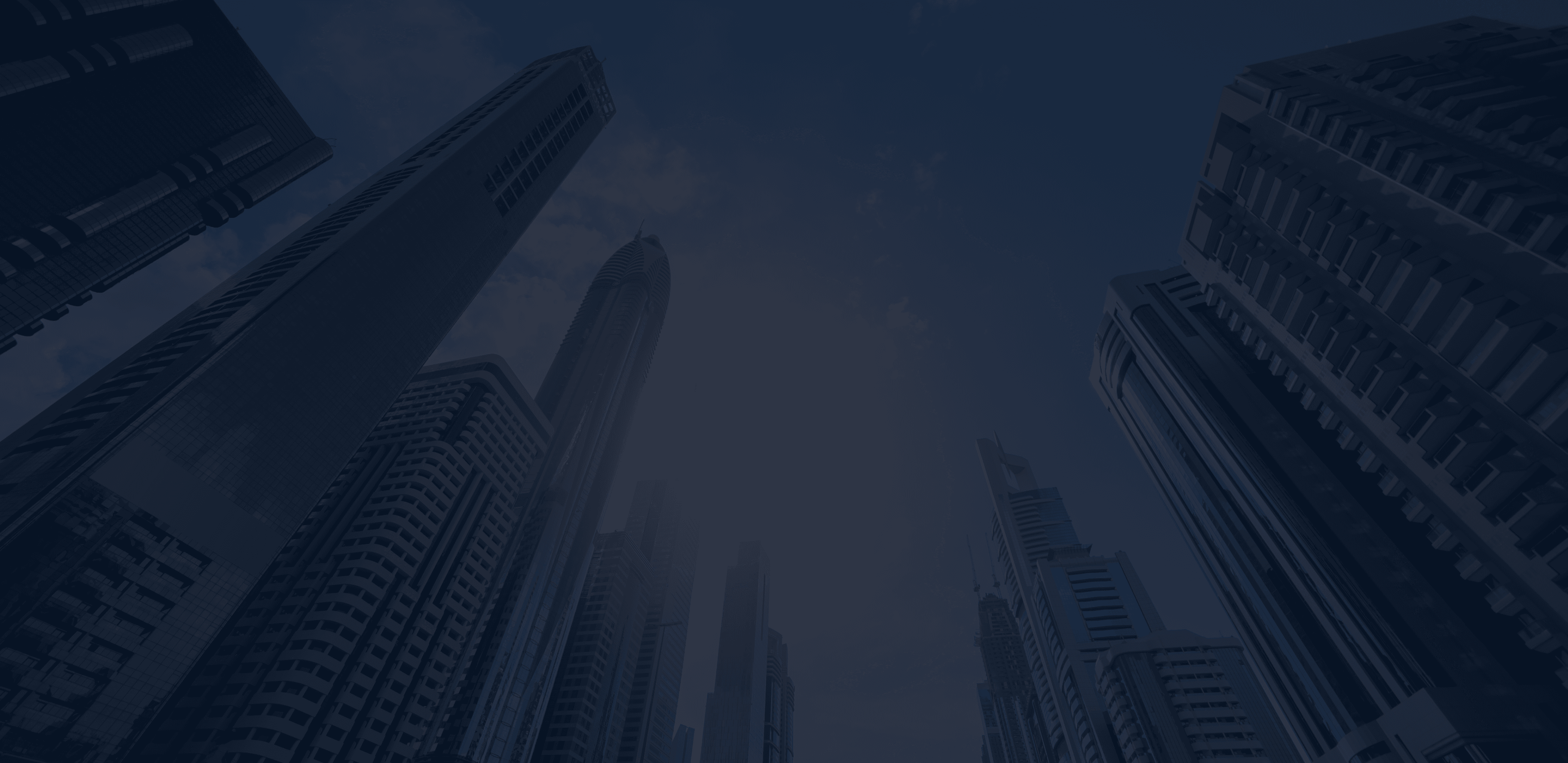 서비스 배경 이미지